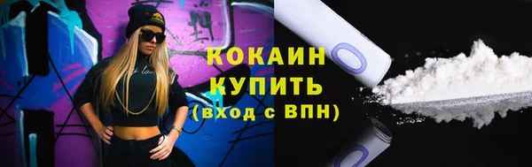 мяу мяу мука Аркадак