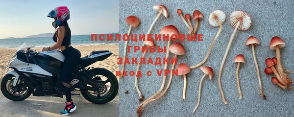 мяу мяу мука Аркадак