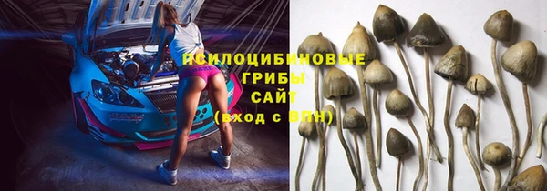 трава Гусев