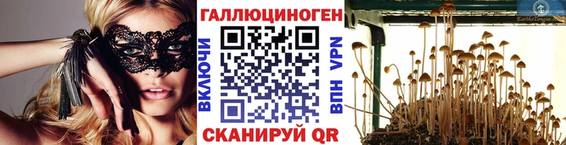 Псилоцибиновые грибы Cubensis  продажа наркотиков  Луховицы 